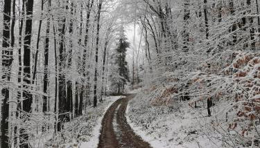 Fireplace Catskill Views Overlook Lake Cabin - Foto 3