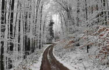 Fireplace Catskill Views Overlook Lake Cabin - Foto 3