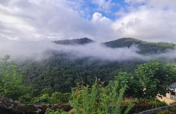 Apartamentos Rurales El Bosque de las Viñas - Photo 34