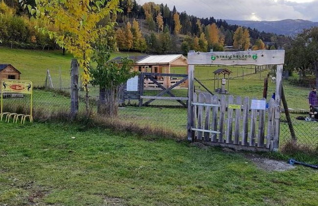 Chalet in St. Georgen ob Murau - Foto 41