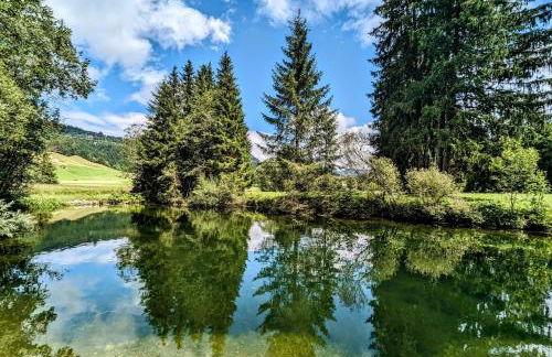 NEU FeWo Rottachblick - Foto 43