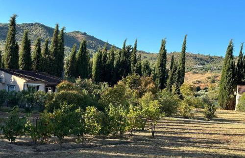 Casita Higo - Foto 21