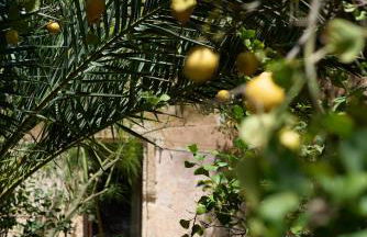 Old Villas Greco 1888 luxury swimming pool - Foto 63