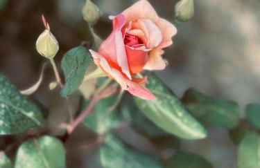 Timpa Bianca - Foto 41