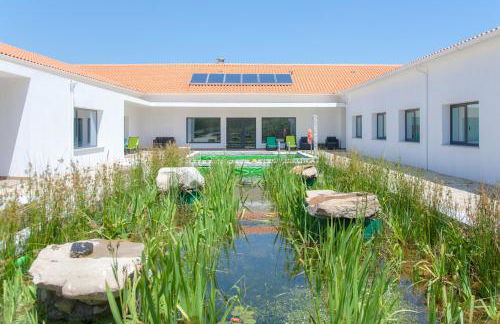 Quinta de Trancoso - Foto 13