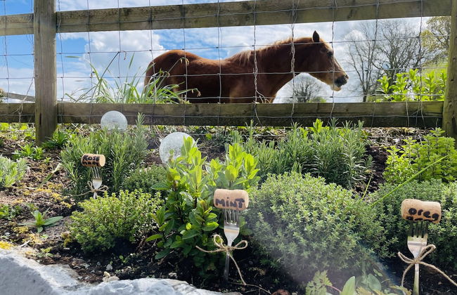 The Old Stables - Foto 61