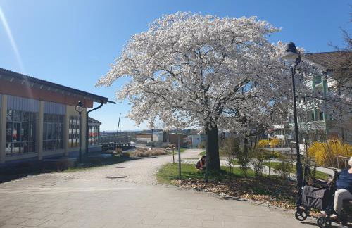 Ferienwohnung Rositta - Foto 8