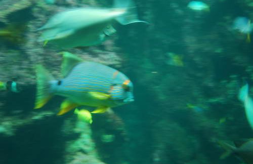 Beautiful holiday home by the sea in Penmarch - Foto 35