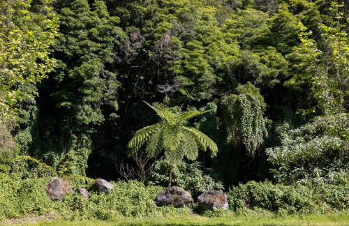 Cantinho dos Cagarros - Photo 43