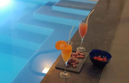 Villa les Agapanthes avec piscine et SPA chauffée dans votre appartement - Foto 16