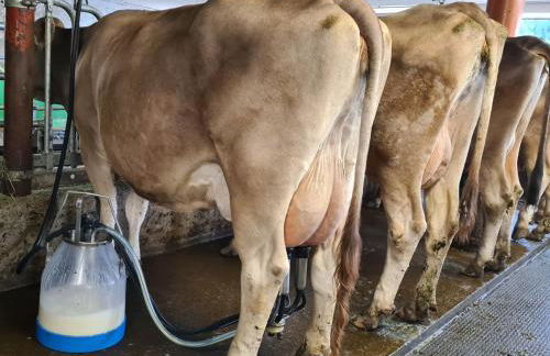 Ferienhof "Alpe Berg" - Photo 21