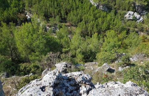 Apartment 51 - Photo 39