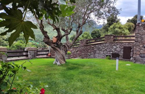 Casa Bados - Foto 46