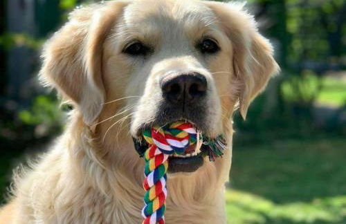 Family apartment in Bleyen-Genschmar - Foto 23