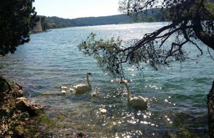 Apartman Ana - Photo 18