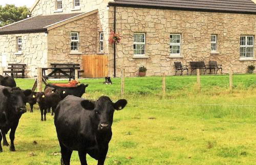 GlenHaven Holiday Accommodation - Foto 41