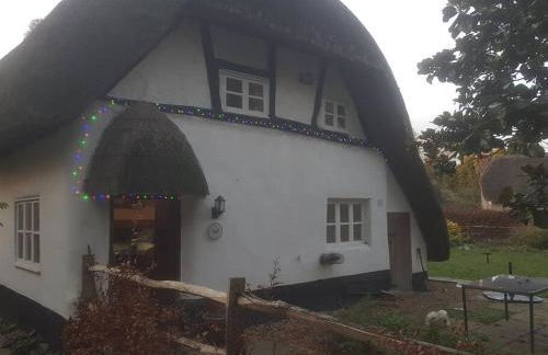 Delightful 3bed thatched Cottage - Foto 11