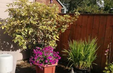 Garden Apartment Morpeth- with lockable bike storage! - Foto 26