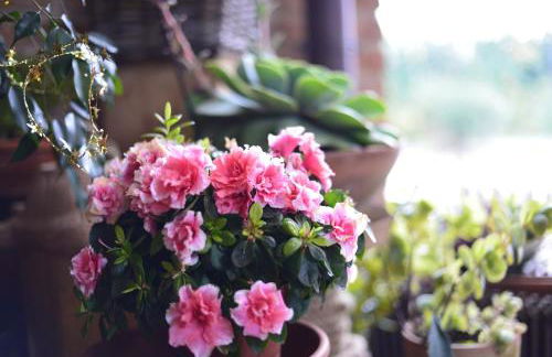 Dolce Casetta - Foto 23