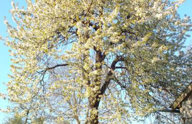 Haus Spiessl - Foto 23