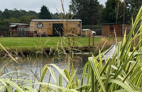 Ye Old Lambing Lodge - Spring Paddock - Photo 15