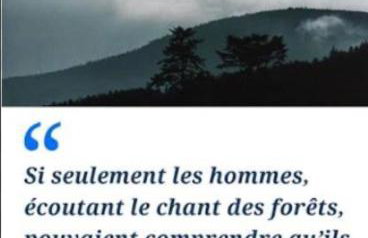 VeNeZ DoRmiR dans notre Bergerie au Cœur des Pyrénées Hebergement atypique - Photo 48