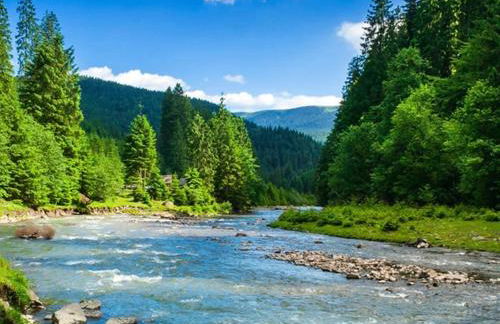 bergwärts - Foto 13