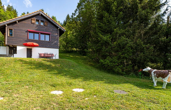 Chalet de la Vue des Alpes - Foto 21