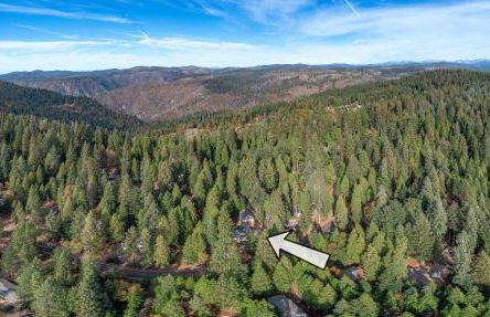 Luxury Cabin in Budget-Hot Tub -Apple Hills-Tahoe - Foto 44