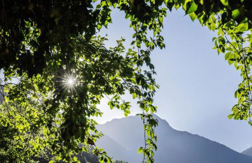 Armonia - Your Alpine Hideaway - Foto 36