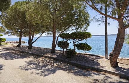 Relax Mandre 200m from the beach Sea view - Foto 27