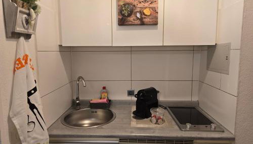 Erholungs- Apartment am Kurpark & Therme Bad Urach - Foto 5, stove