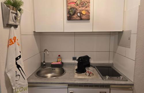 Erholungs- Apartment am Kurpark & Therme Bad Urach - Foto 5