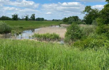 Landliebe Aulosen - Foto 50