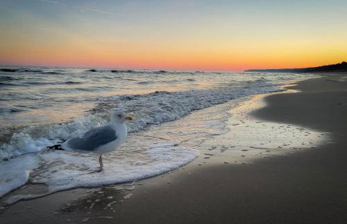 Ostsee-Urlaub-Zempin direkt am Küstenwald, nur wenige Minuten zum Strand, optimal für Paare mit 1 Hund bis 45 cm Schulterhöhe - Foto 38