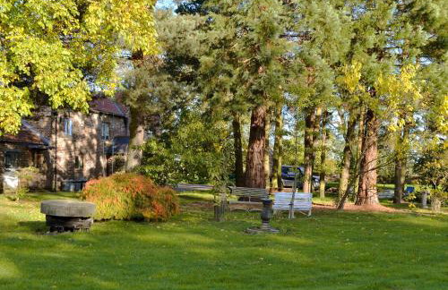 The Ashes - Photo 15