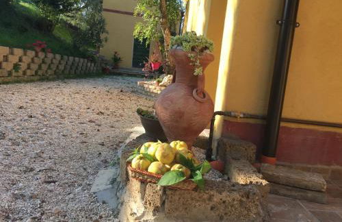 Agriturismo Fattoria del Colle - Foto 29