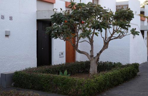 Zuzička Primavera - Foto 15