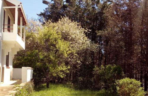 Casa Cerro da Correia - Foto 44