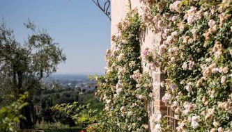 Terre di Cocomo - Foto 4