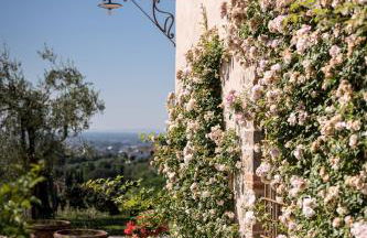 Terre di Cocomo - Foto 4