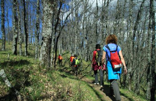 Casa rural El Abejaruco - Foto 46