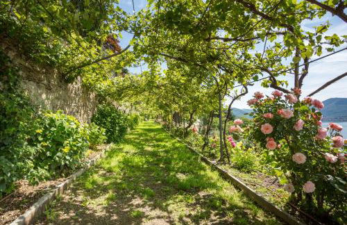 Villa Paradiso - Foto 26