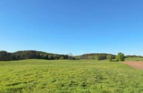 Agroturystyka Żółta Ostoja - Foto 9