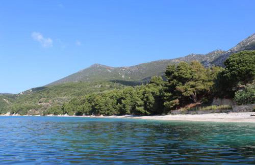 GT Traditional Windmill - Foto 12