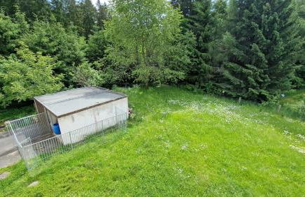 Altes Zollhaus im Wald - Foto 61