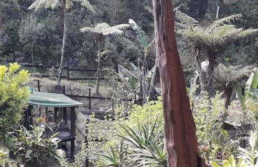 Cabana aconchegante na natureza - Foto 17