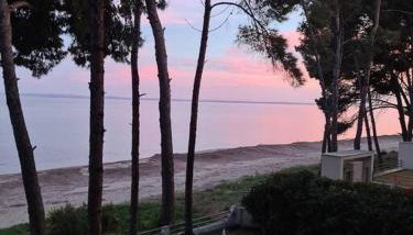 Marine Wave - Foto 4