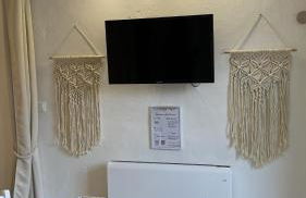 Insolite : Gîte Namaste à 500m à pied du Zoo de Beauval - Photo 4