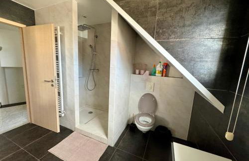 Le manoir Obernois - 5mn du centre - 10 pers. - Foto 16